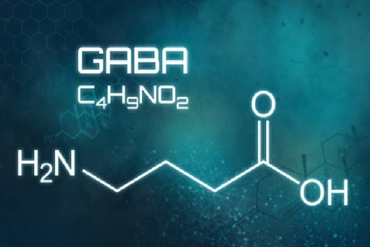 GABA ingredient